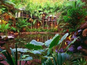 Daintree Eco Lodge & Spa - 2032 Olympic Games 0