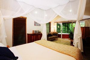 Daintree Eco Lodge & Spa - 2032 Olympic Games 1