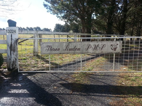 Three Linden - 2032 Olympic Games 6