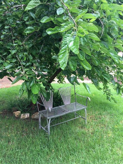 Amy\'s House Bed & Breakfast - 2032 Olympic Games 22