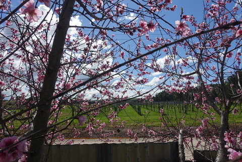 Amy\'s House Bed & Breakfast - 2032 Olympic Games 40