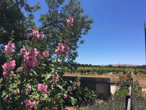 Amy\'s House Bed & Breakfast - 2032 Olympic Games 29