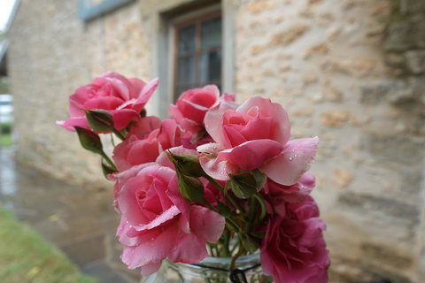 Amy\'s House Bed & Breakfast - 2032 Olympic Games 30