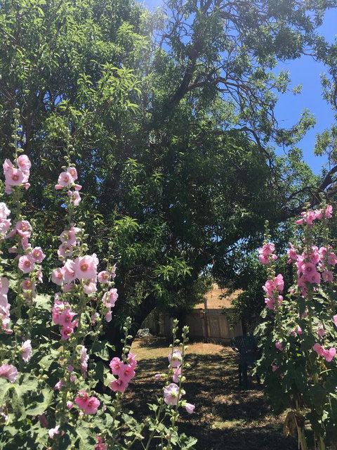 Amy\'s House Bed & Breakfast - 2032 Olympic Games 37