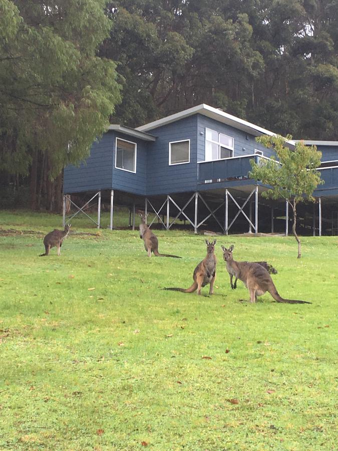 Denmark WA 2032 Olympic Games