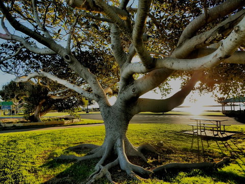 Lazy Lobster Holiday Units & Chalets - 2032 Olympic Games 34