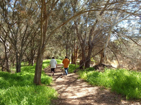 Lazy Lobster Holiday Units & Chalets - 2032 Olympic Games 26