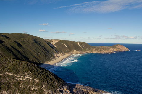 Albany Motel & Apartments - 2032 Olympic Games 21