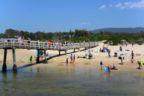 Bellhaven 2, 17 Willow Street - 2032 Olympic Games 6