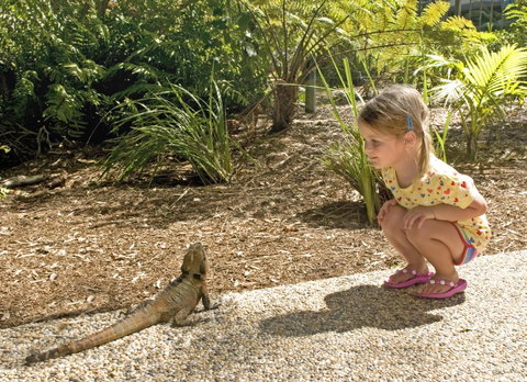 Flynns Beach Resort - 2032 Olympic Games 16