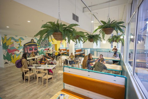 YHA Sydney Central - 2032 Olympic Games 4