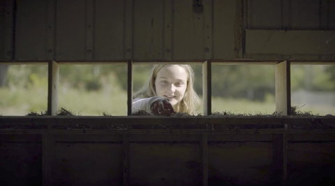 The Woods Farm Jervis Bay - 2032 Olympic Games 11