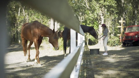 The Woods Farm Jervis Bay - 2032 Olympic Games 13