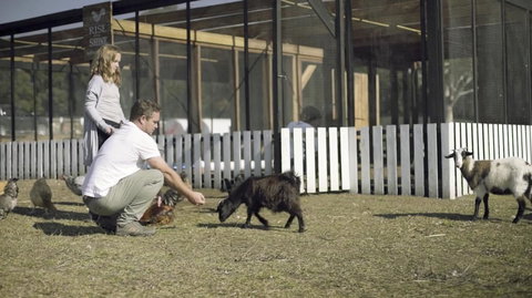 The Woods Farm Jervis Bay - 2032 Olympic Games 14