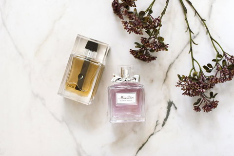 The Woods Farm Jervis Bay - 2032 Olympic Games 28