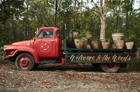 The Woods Farm Jervis Bay - 2032 Olympic Games 8