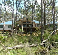 Braidwood Escape - 2032 Olympic Games