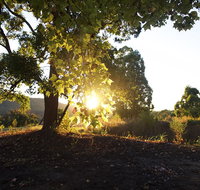 Clarendon Forest Retreat - 2032 Olympic Games