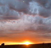 creative 3D sculpture share - 2032 Olympic Games