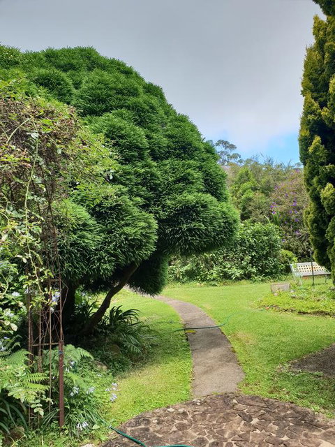 English Gardens - Forest Spa Suite - 2032 Olympic Games 0