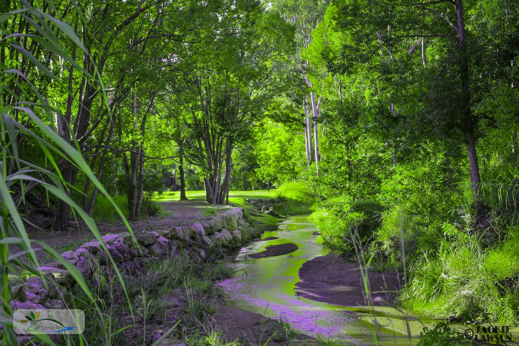 Glen Esk QLD 2032 Olympic Games