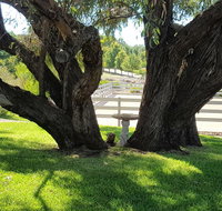 Farm Stay Studio - 2032 Olympic Games