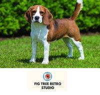 Fig Tree Retro Studio - 2032 Olympic Games