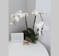 Gawler Heritage Accommodation - 2032 Olympic Games