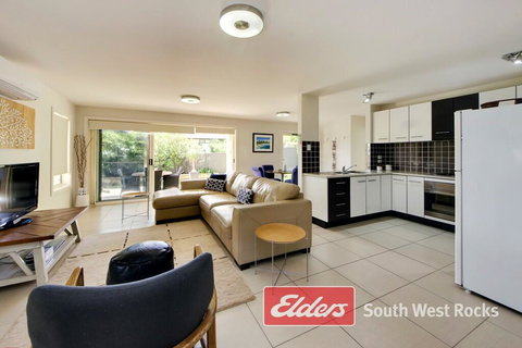 Geckos At South West Rocks - 2032 Olympic Games 2