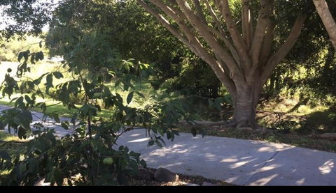Handford Gardens - 2032 Olympic Games 2
