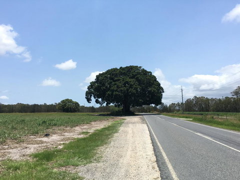 Jacobbs Well - 2032 Olympic Games 1