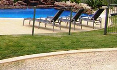 Koala Tree Motel - 2032 Olympic Games 3