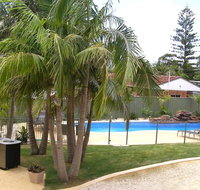 Koala Tree Motel - 2032 Olympic Games