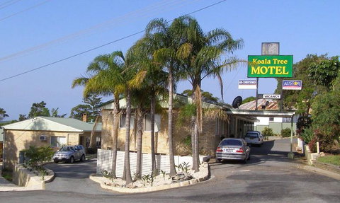 Koala Tree Motel - 2032 Olympic Games 1
