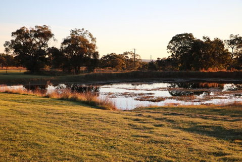 Maric Park Cottages - 2032 Olympic Games 2