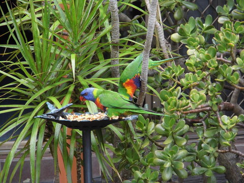 Nanango Fitzroy Motel - 2032 Olympic Games 2