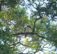 Jacaranda Hideaway Bed  Breakfast - 2032 Olympic Games