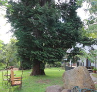 Olinda Country Cottages - 2032 Olympic Games