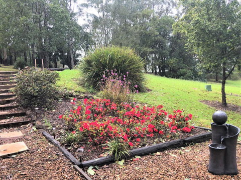 Ravensbourne Escape-Tree Tops - 2032 Olympic Games 2