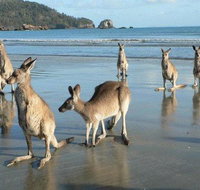 Seaforth Holiday Units - 2032 Olympic Games