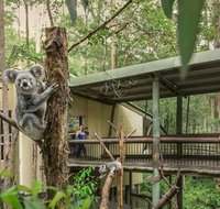 Springwood Meditation Centre - 2032 Olympic Games