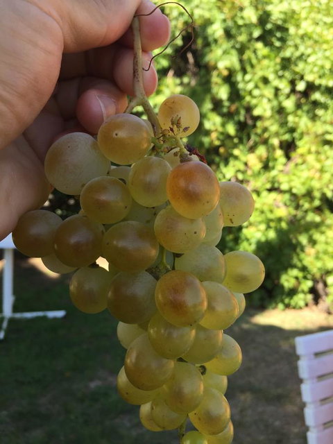 Campbell St Lodge - 2032 Olympic Games 9