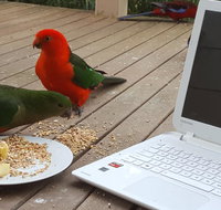 Wilsons Promontory Motel - 2032 Olympic Games