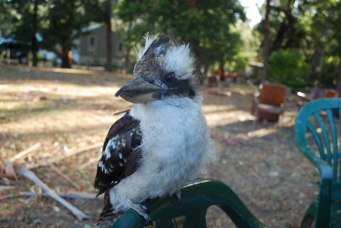 Gariwerd Motel - 2032 Olympic Games 11