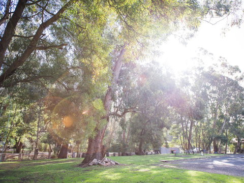 Gariwerd Motel - 2032 Olympic Games 7