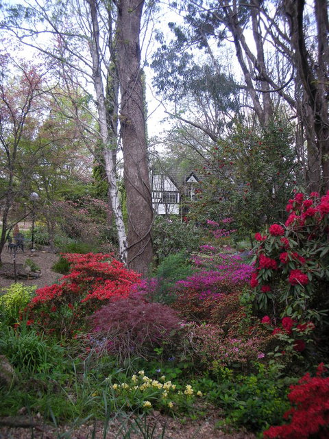 Merrimeet Cottages - 2032 Olympic Games 21