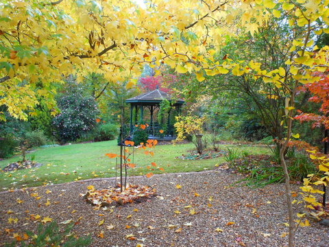 Merrimeet Cottages - 2032 Olympic Games 7