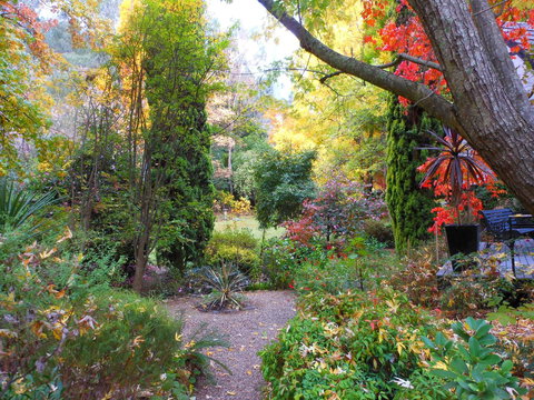 Merrimeet Cottages - 2032 Olympic Games 30