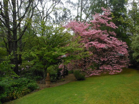 Merrimeet Cottages - 2032 Olympic Games 23