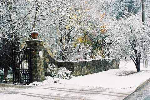 Merrimeet Cottages - 2032 Olympic Games 17